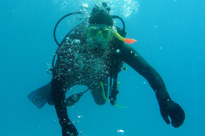 Seastar Luxury Outer Great Barrier Reef Island and Reef Tour - Comfort, motion, and seasickness