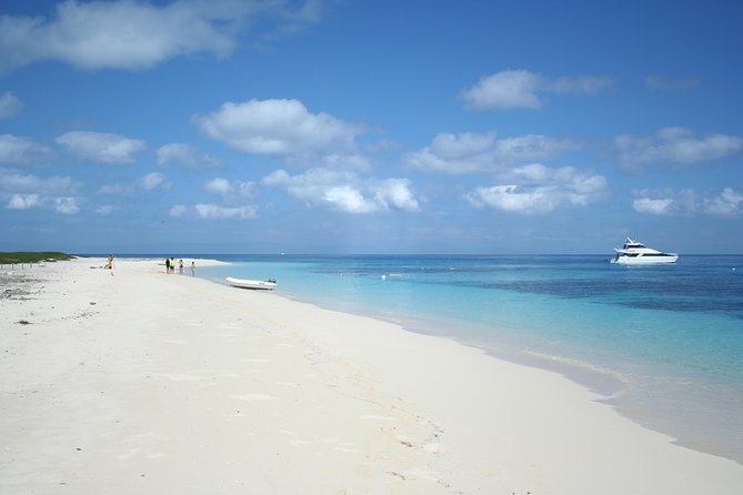 Seastar Luxury Outer Great Barrier Reef Island and Reef Tour - Who will enjoy Seastar most