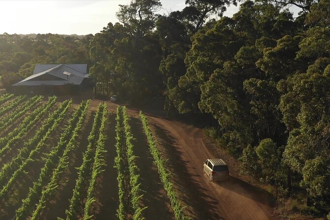 Secret Delights: Curated Wine, Coffee & Forest Experience - Redgate Wines: a second view of Margaret River wine