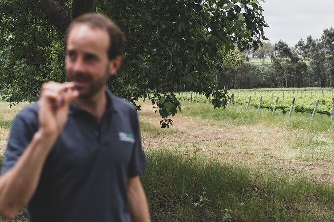 Secret Delights: Curated Wine, Coffee & Forest Experience - Why the small group changes the day