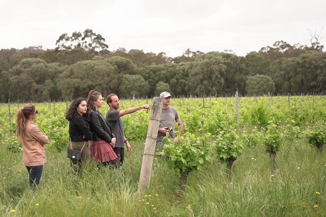 Secret Delights: Curated Wine, Coffee & Forest Experience - Yahava KoffeeWorks: start with coffee, not wine