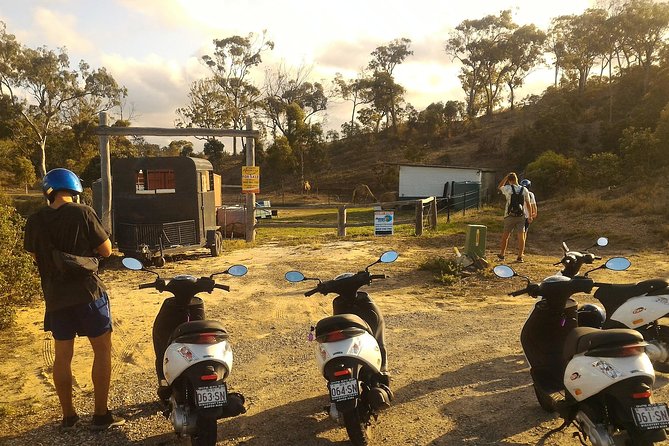Self Guided Agnes to 1770 Scooter Hire - Wildlife stops, beaches, and the limits of a 50cc scooter