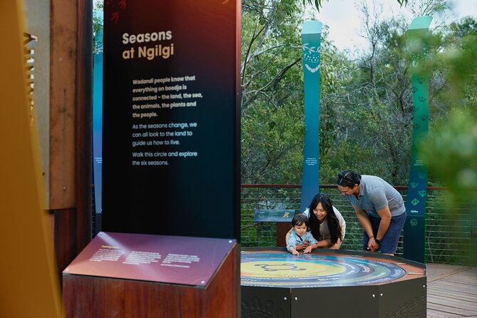 Self-Guided Ngilgi Cave Ancient Lands Experience - The cave introduction and the freedom to wander