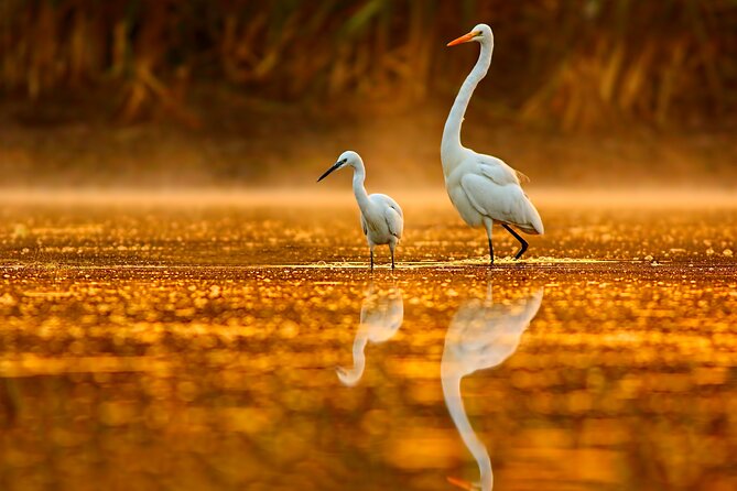 Serenity Cruise to Australia's Everglades - Sunset light, refreshments, and the ride back