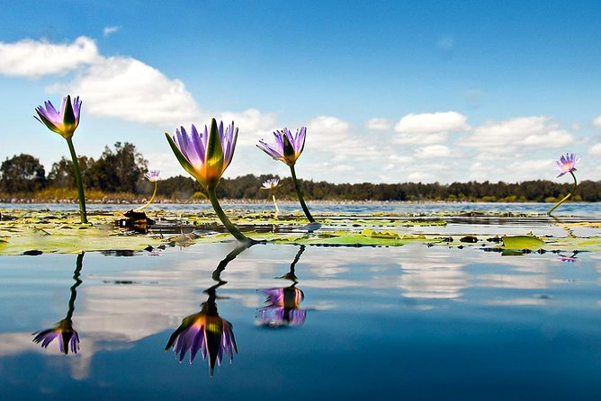 Serenity Cruise to Australia's Everglades - What the crew adds to the experience
