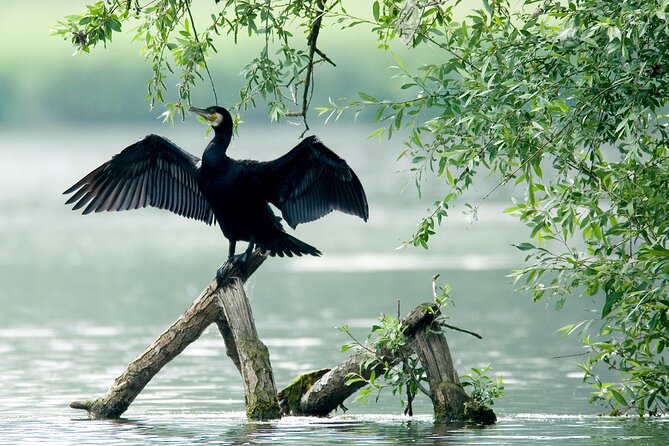 Serenity Cruise to Australia's Everglades - Booking details and cancellation