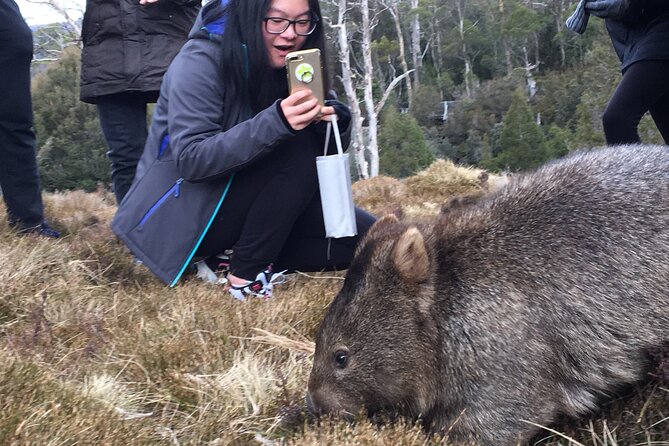 Shore Excursion - Cradle Mountain Shuttle Bus from Burnie - The biggest concern is getting back to the ship