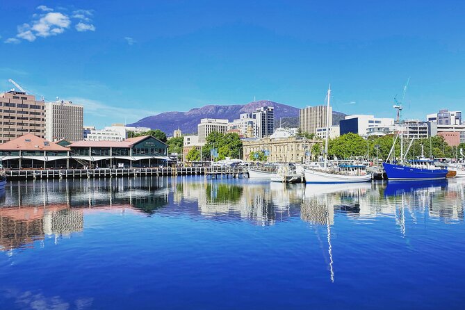 Shore Excursion: Hobart Highlights Day Tour - Salamanca Market on Saturdays