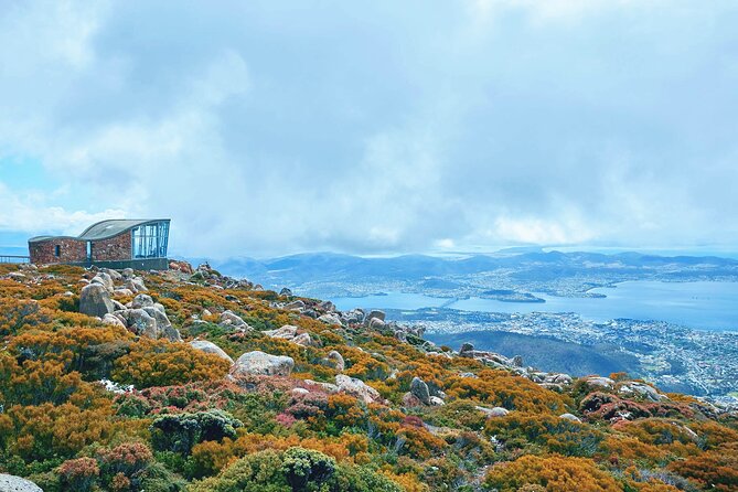 Shore Excursion-Hobart Wanderer - Mount Wellington: spectacular views, changeable weather