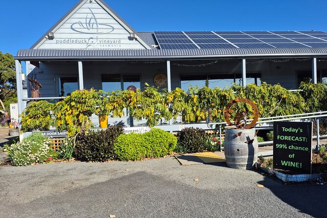 Signature Saturday Wine Tour - The Wicked Cheese Co. adds a savory finish
