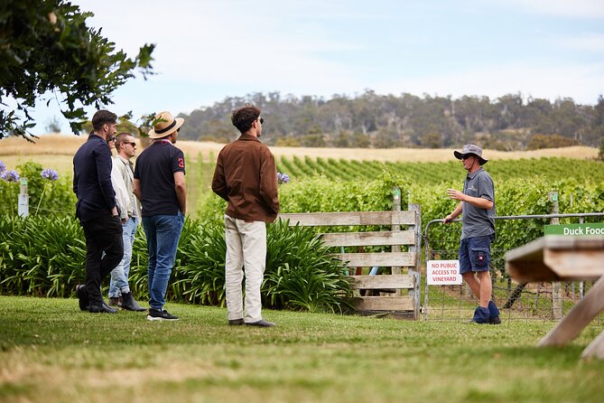 Signature Saturday Wine Tour - Who will enjoy this five-and-a-half-hour outing