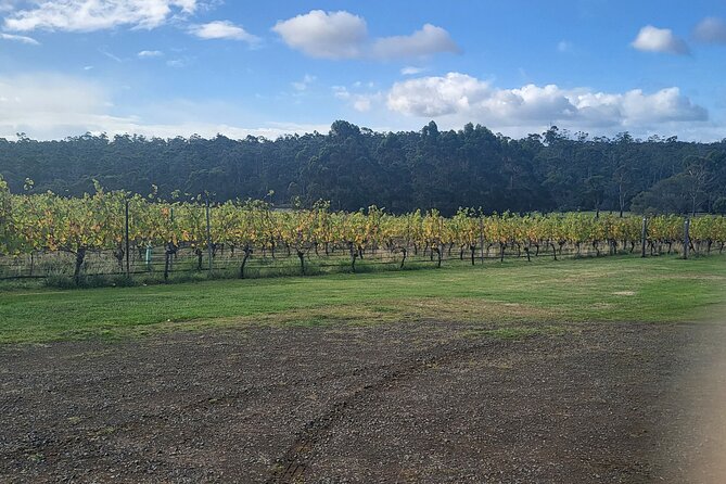 Signature Wine Tour - Hobart & SE Tasmania - Wicked Cheese Co. Brings Food Into the Picture