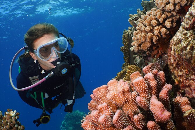 Silversonic Outer Great Barrier Reef Cruise from Port Douglas - What snorkeling is really like