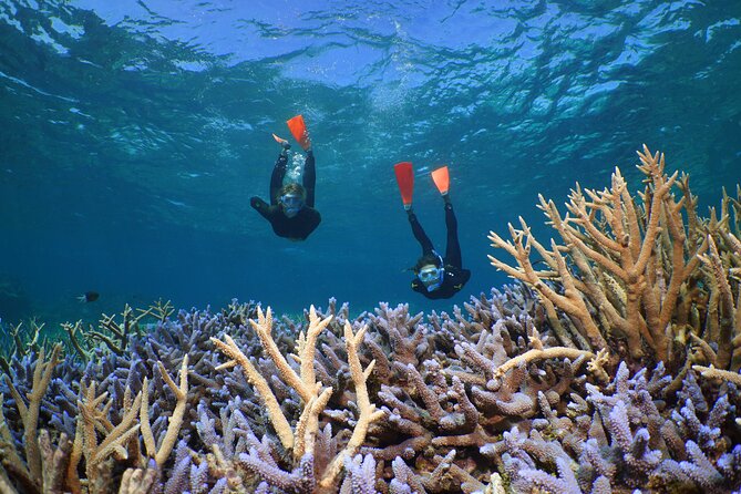 Silversonic Outer Great Barrier Reef Cruise from Port Douglas - The 8:00 a.m. start from Port Douglas