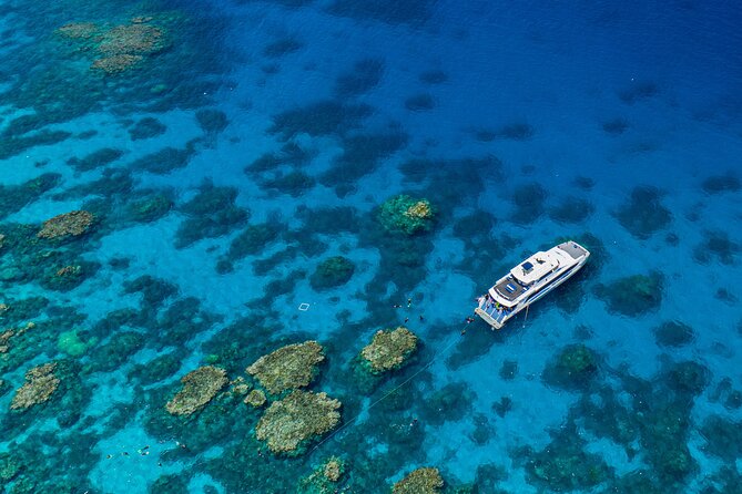 Silverswift Dive and Snorkel Great Barrier Reef Cruise - Silverswift at a glance