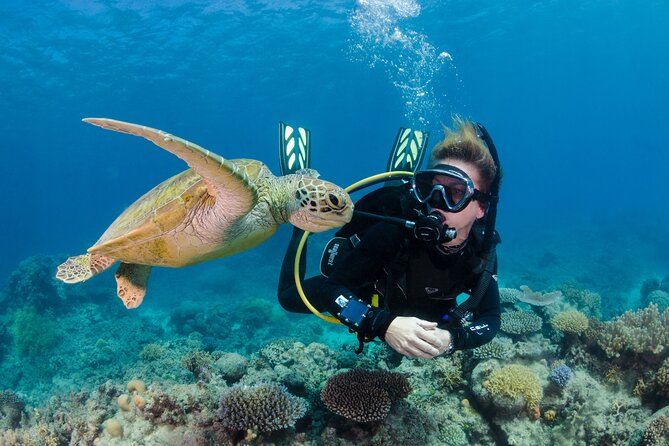 Silverswift Dive and Snorkel Great Barrier Reef Cruise - What the meals and onboard setup add