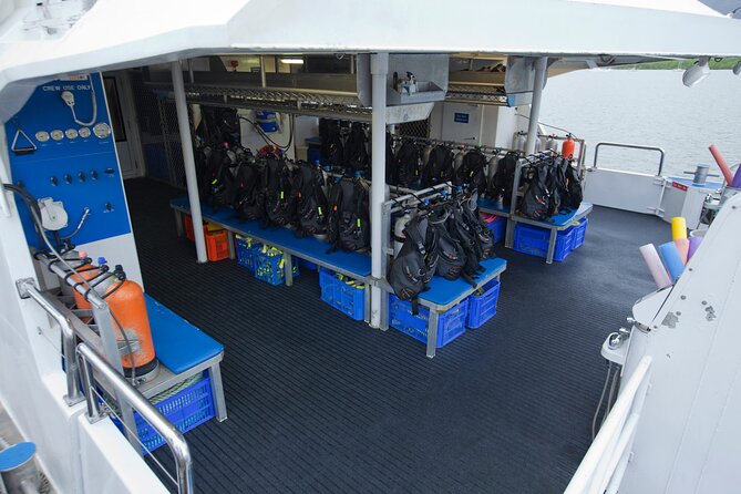 Silverswift Dive and Snorkel Great Barrier Reef Cruise - Who will get the most from this trip?
