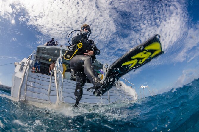 Silverswift Dive and Snorkel Great Barrier Reef Cruise - Practical details before you book