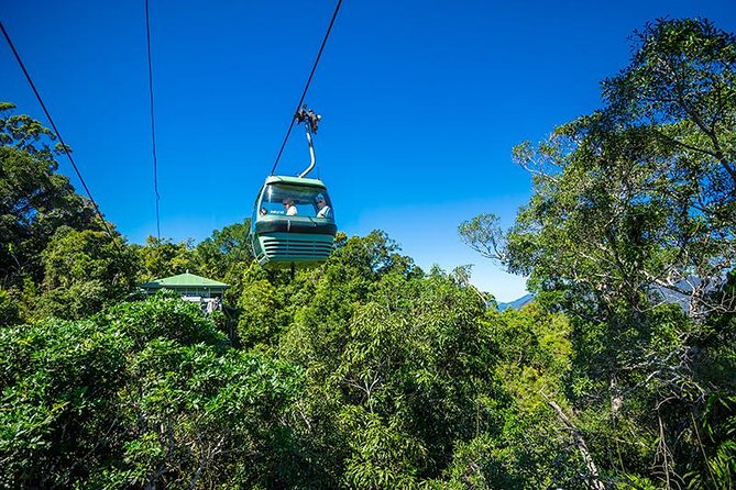 Skyrail Rainforest Cableway Day Trip from Cairns - At a glance