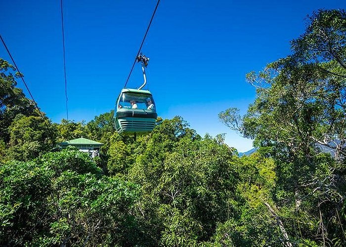 Skyrail Rainforest Cableway Day Trip from Cairns - Returning on the Kuranda Scenic Railway