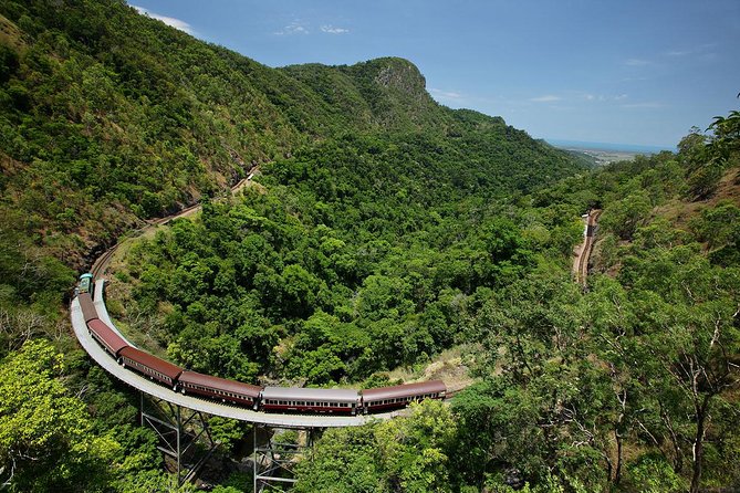 Skyrail Rainforest Cableway Day Trip from Cairns - What the $150.71 price really covers