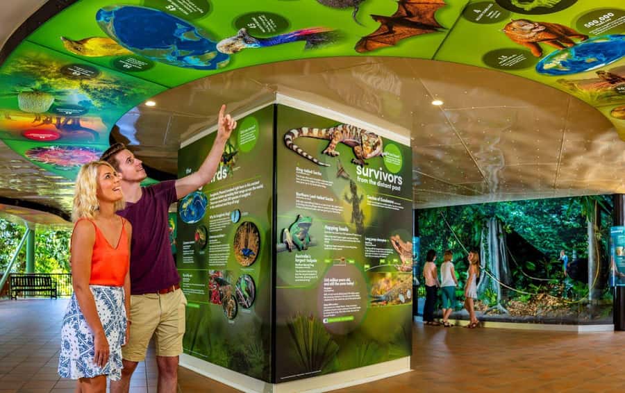 Skyrail Rainforest Cableway Round-Trip Experience - Key points to know before you book