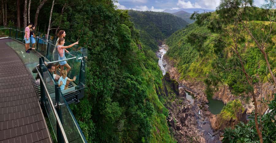 Skyrail Rainforest Cableway Round-Trip Experience - Why the Skyrail route is more than a cable-car ride