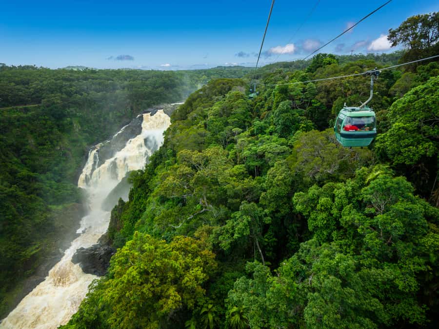 Skyrail Rainforest Cableway Round-Trip Experience - Barron Falls Station and the gorge viewpoints