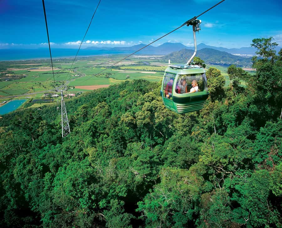 Skyrail Rainforest Cableway Round-Trip Experience - Smithfield Terminal and the fixed departure time
