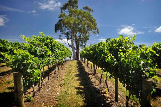 Small Group Adelaide Hills and Hahndorf Hideaway Tour from Adelaide - Why this eight-hour tour works well from Adelaide
