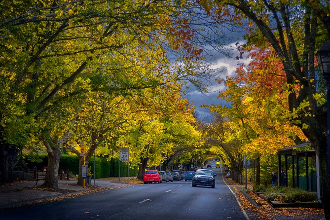 Small Group Adelaide Hills and Hahndorf Hideaway Tour from Adelaide - Hahndorf offers history, shops, and a touristy side