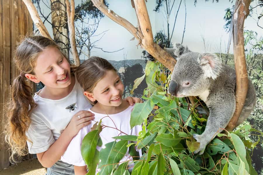 Small Group Blue Mountains, Wildlife & Scenic World Day Tour - Key points at a glance