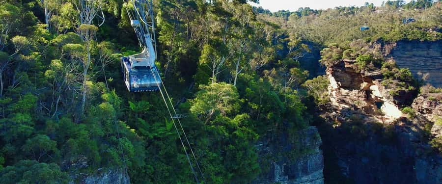 Small Group Blue Mountains, Wildlife & Scenic World Day Tour - Scenic World is the main event