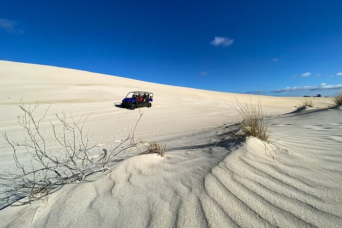 Small-Group Buggy Tour at Little Sahara with Guide - Starting at Vivonne Bay