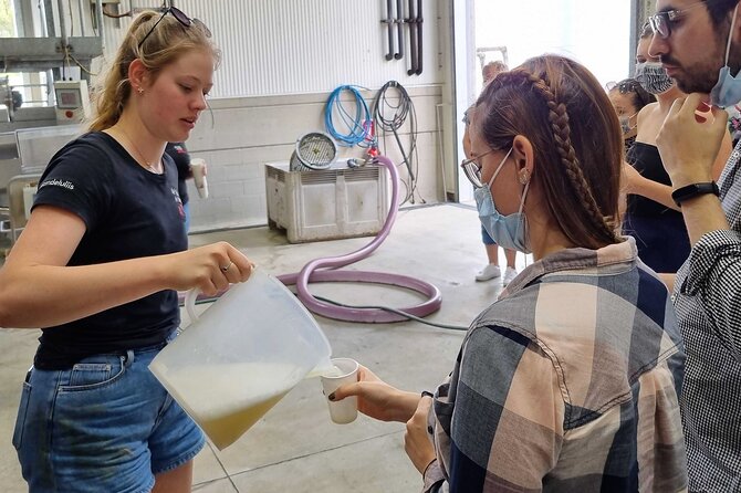 Small Group Hunter Valley Wine Tour w Lunch, Gin, Cheese & Choc - The first winery stops: boutique producers and guided tastings