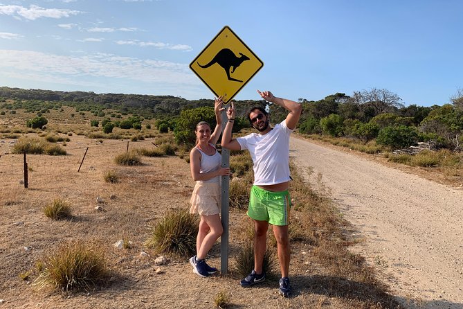 Small Group Kangaroo Island Evening and Night Tour - A safari that stays mostly inside the vehicle