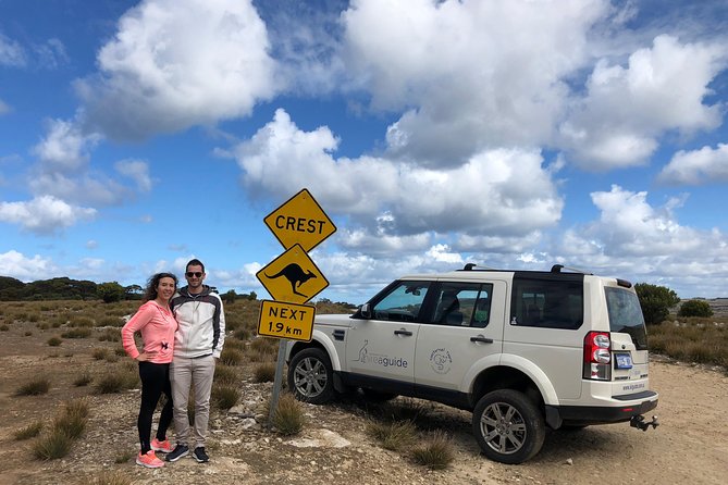 Small Group Kangaroo Island Tour - Best of KI - Seal Bay: the day’s most personal wildlife stop