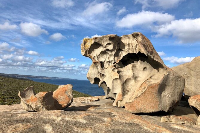 Small Group Kangaroo Island Tour - Best of KI in 2 Days - The guides make the difference