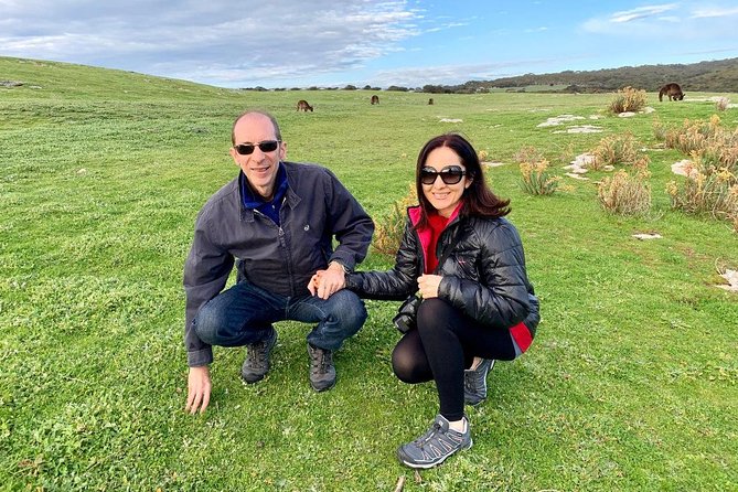 Small Group Kangaroo Island Tour - Seal Bay - The wildlife search is the real bonus