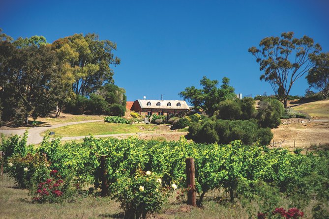 Small Tour Barossa Valley Voyager Tour from Adelaide - What you may taste during the day
