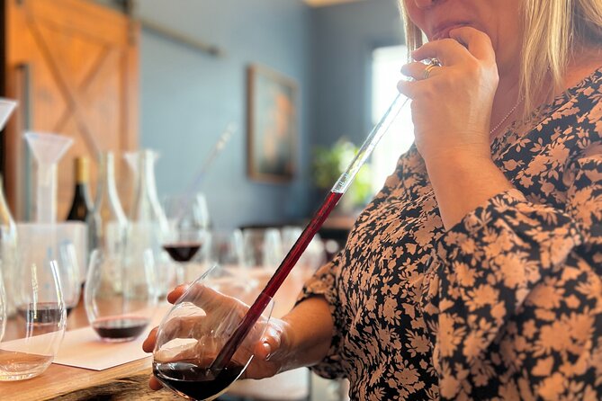Snapshot Half Day Hunter Valley Wine Tour - Who will enjoy this Hunter Valley outing?