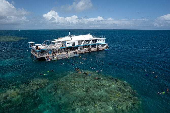 Snorkel & Dive the Reef: Sustainable, Scientific & Cultural Tour - Key points at a glance