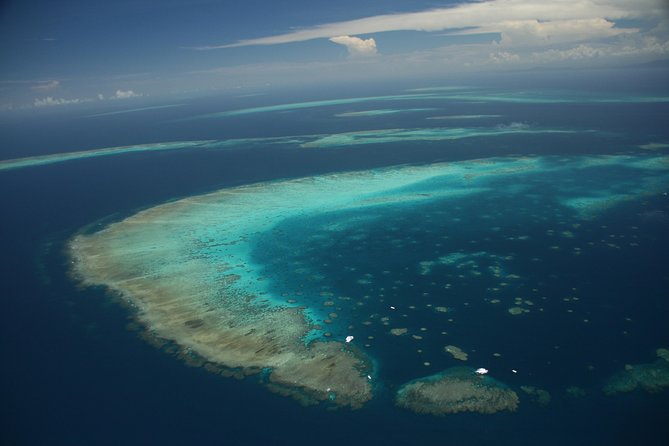 Snorkel & Dive the Reef: Sustainable, Scientific & Cultural Tour - Dry viewing: glass-bottom boats and the semi-submersible