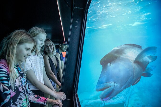 Snorkel & Dive the Reef: Sustainable, Scientific & Cultural Tour - Group size, comfort, and the busiest moments