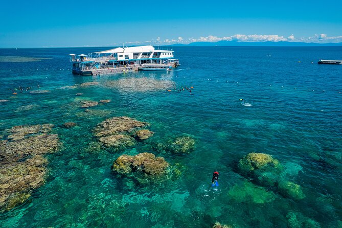 Snorkel & Dive the Reef: Sustainable, Scientific & Cultural Tour - The Marine World platform and outer reef setting