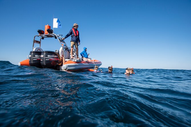 Snorkel with Turtles Gold Coast - Why the 12-person limit matters