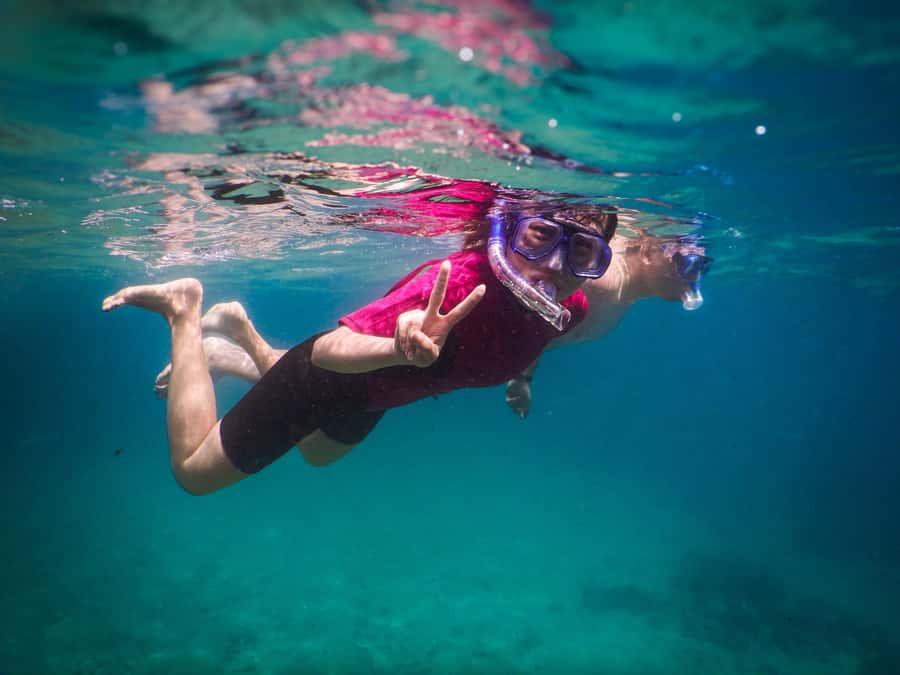 Snorkeling Tour: Discover Sydney’s impressive sea life - One hour around the rocky reef