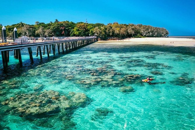 Snorkelling and Glass Bottom Boat at Green Island from Cairns - A 45-minute catamaran ride from Cairns