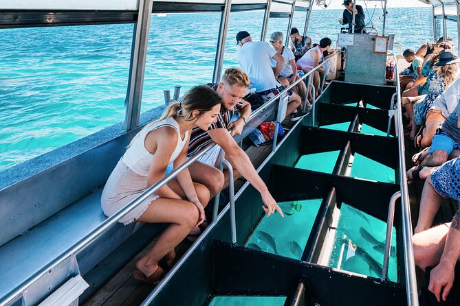 Snorkelling and Glass Bottom Boat at Green Island from Cairns - Green Island, where rainforest meets coral reef