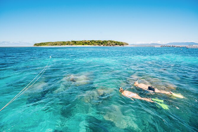 Snorkelling and Glass Bottom Boat at Green Island from Cairns - Who will enjoy this Green Island trip?